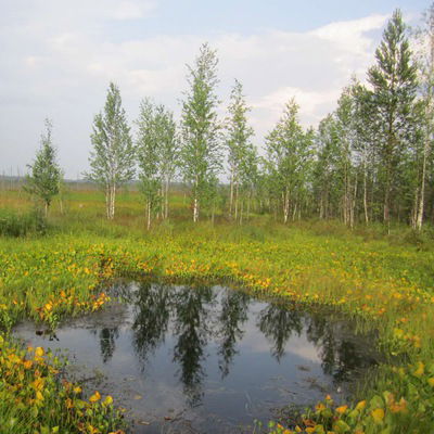 Валентина Руда