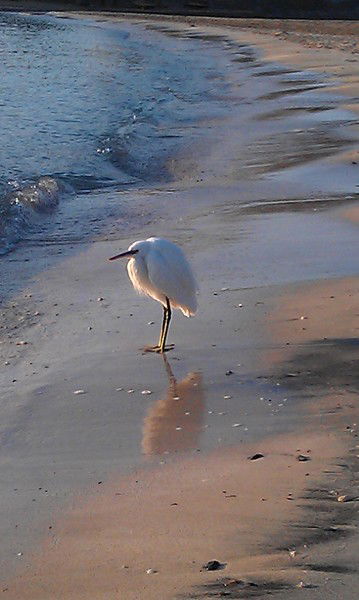 Олеся Сабадаш