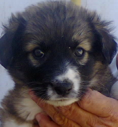 :) Жансая Оразгаликызы