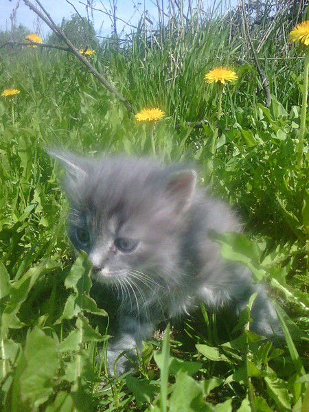 Алексей Фёдоров