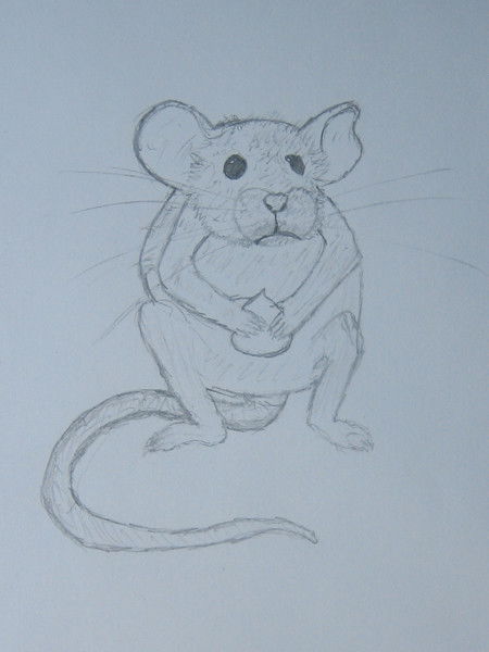 Дмитрий Синицкий