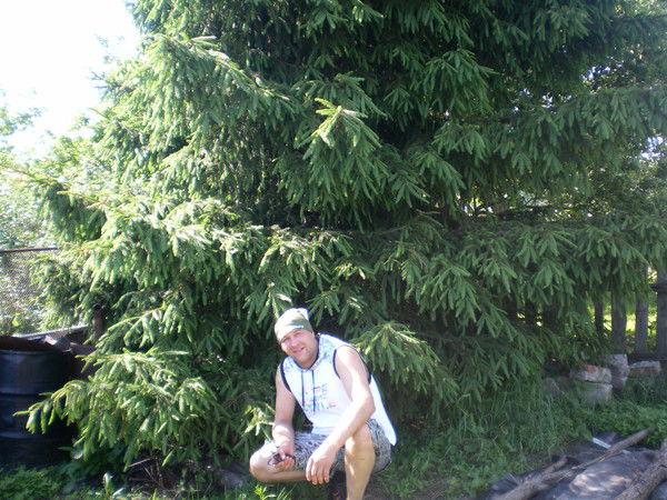 Дмитрий Crocodil