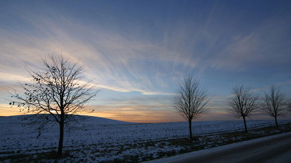 Анюта Новикова