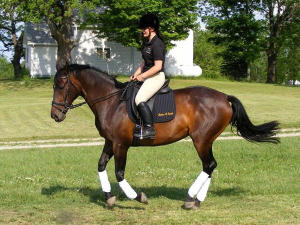 Татьяна Борзова