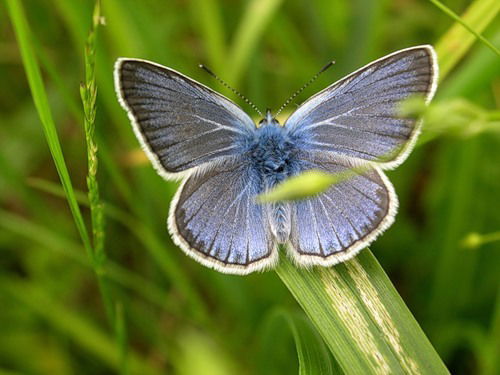 Татьяна Добродеева