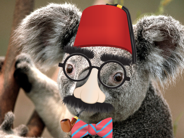 Алексей Костин