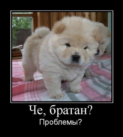 Сардар Тасболатов