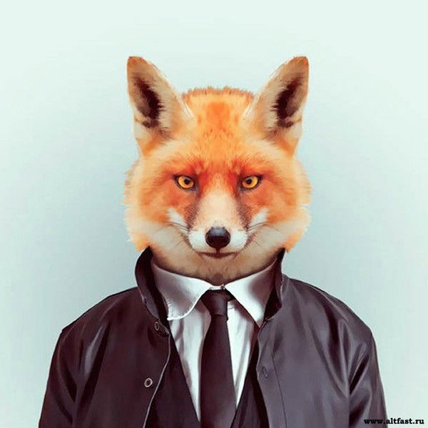 Дмитрий Голоченко