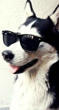 Данил Орехов