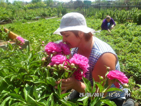 Наталья Мухачёва