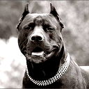 Никита Сидоров