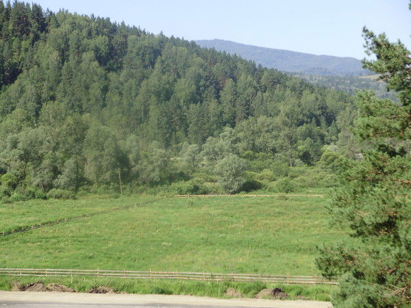 Елена Буланова