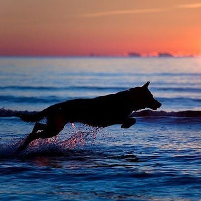 Даша Шишлянникова