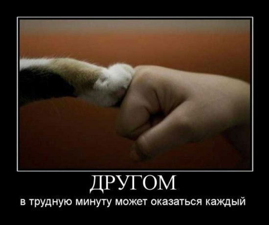 Александр Шовин