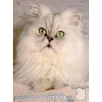 Оксана Закаблук