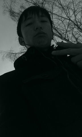 I Love You Honey Honey