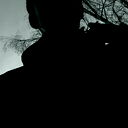 I Love You Honey Honey