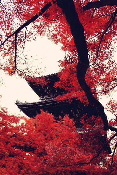 Людмила Жемулюкина