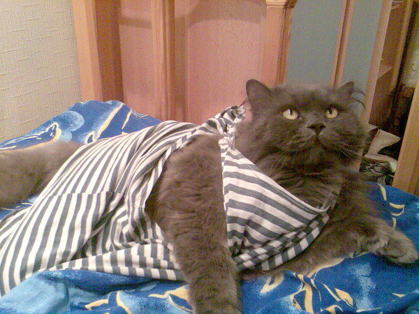 Игорь Аббасов