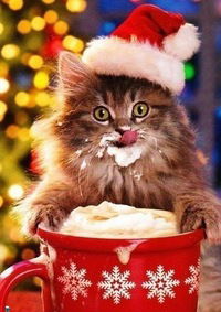 Азат Мухаметзянов