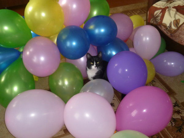 Галина Боднар