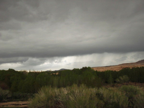 Гульфия Ильясова