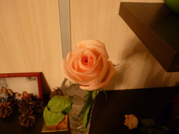 Гульчачак Мирзагулова