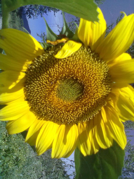 Пейкер Татьяна