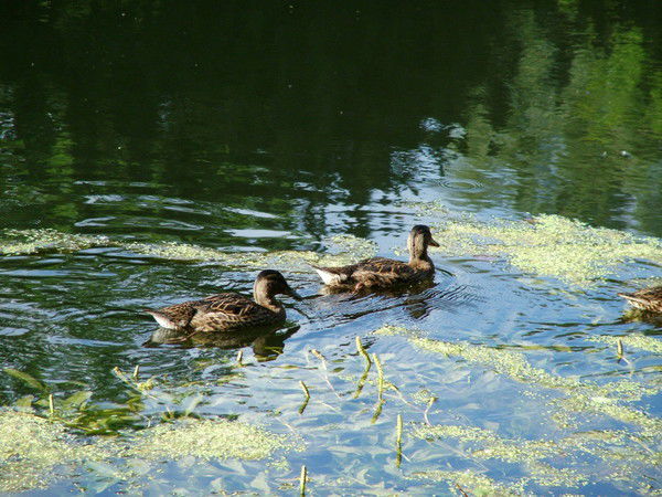 Екатерина *-*