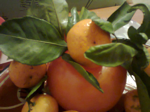 Ирина Акентьева