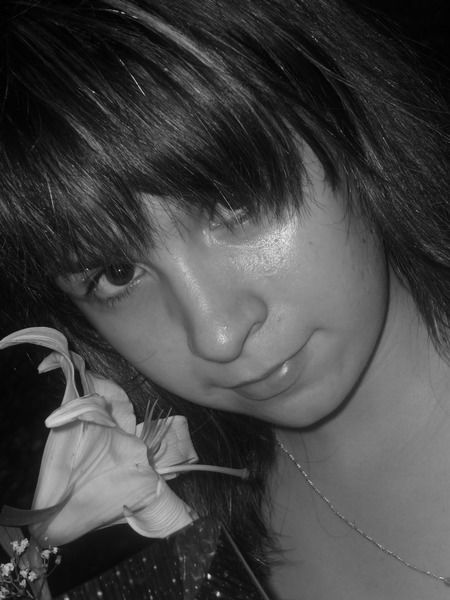 Маленький Галчонок