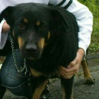 Екатерина Столбова