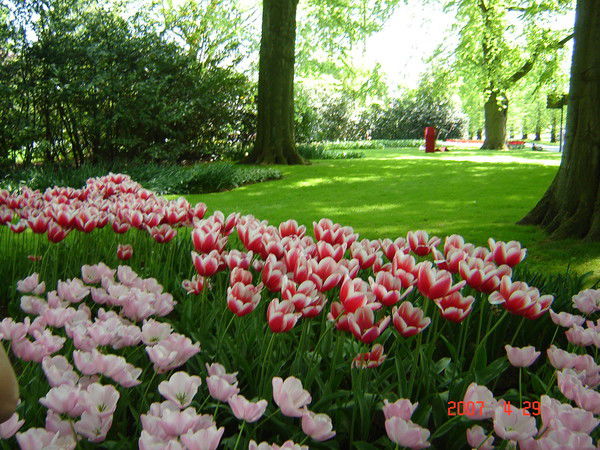 Людмила Барабаш