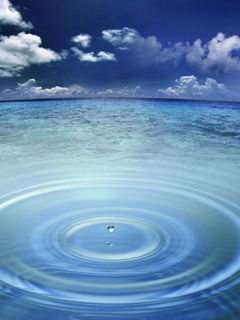 Миша Архипов