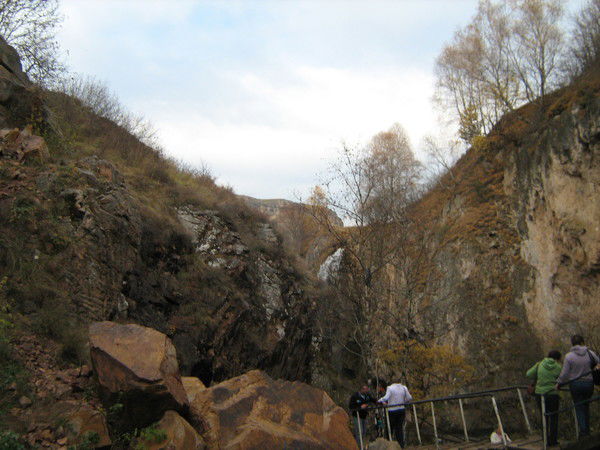 Елена Дорошенко