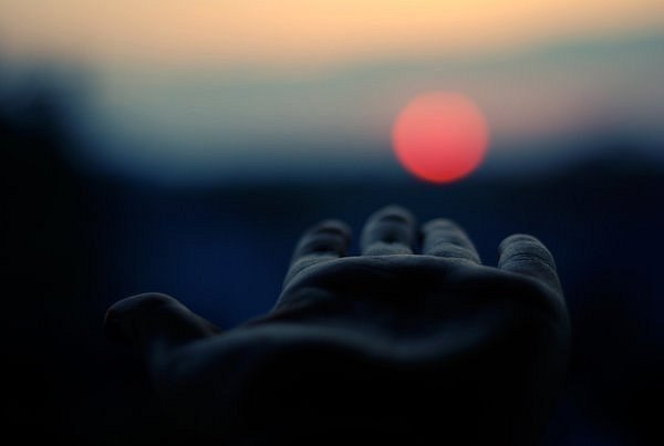 Елена Овчар