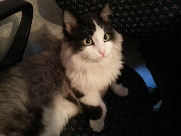 Ирина Николаева