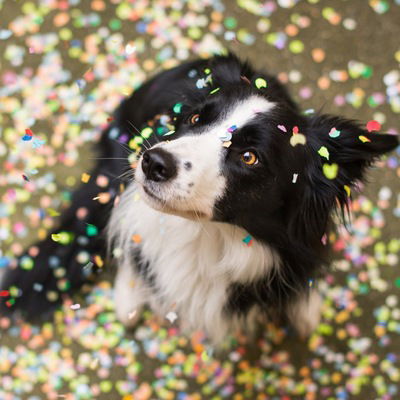 Катя Качнова