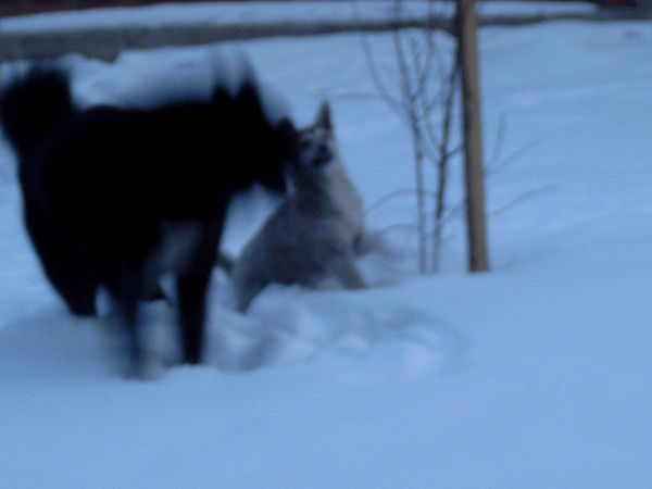 Сергей Боженко