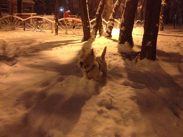 Николай Евсеев