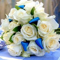 Маргарита Давыдова