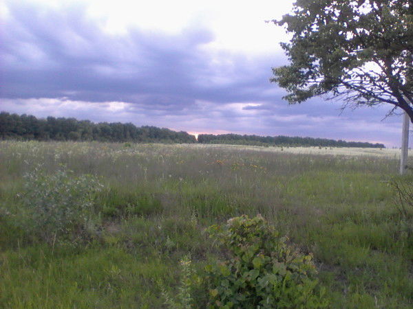 Пп Авп-Груп