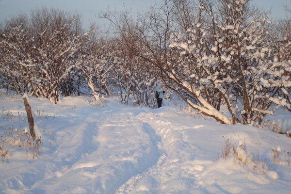 Марина Рябухина