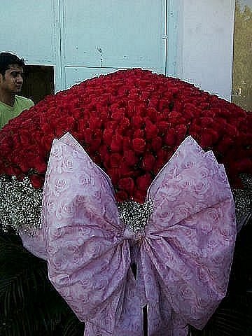 Адиля Велиева