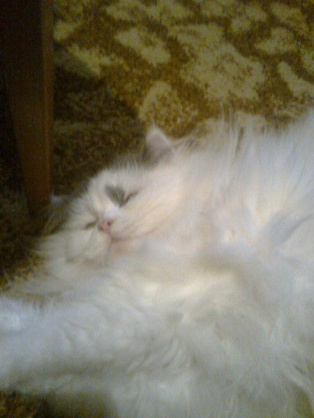 Евгений Землянский