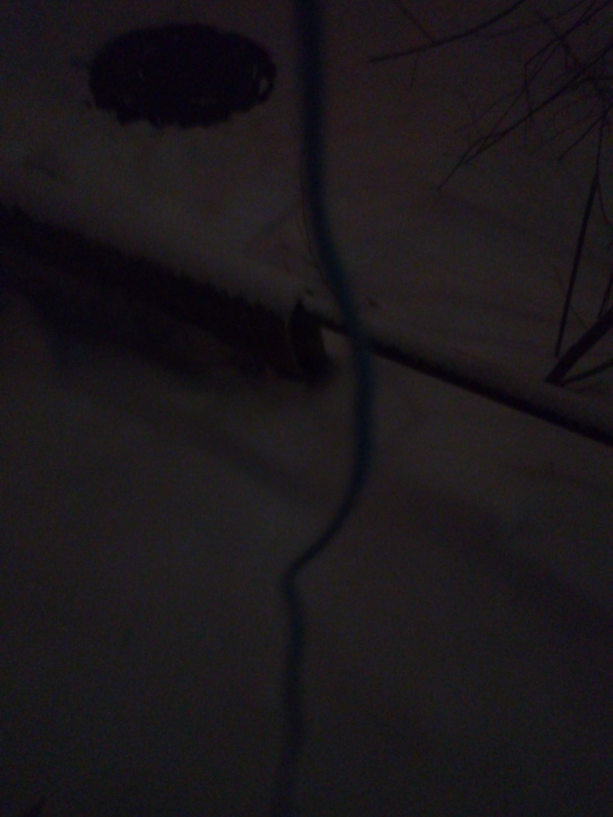 Максим Никольский