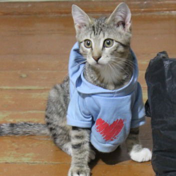 Надежда Глушко(Микуцкая)