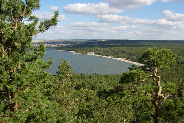 Басай Басаев