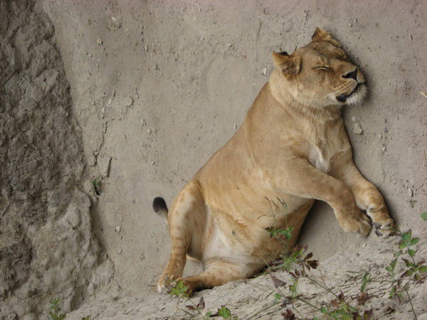 Оксана Иванина