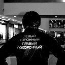 Данил Бауэр